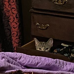 Meet your Posher, Jade